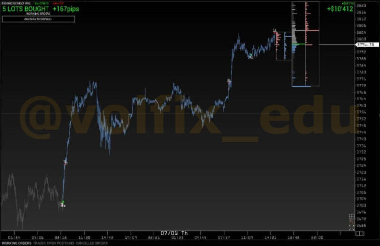 volume_analysis_photo_2021-01-07_23-56-37-800x518