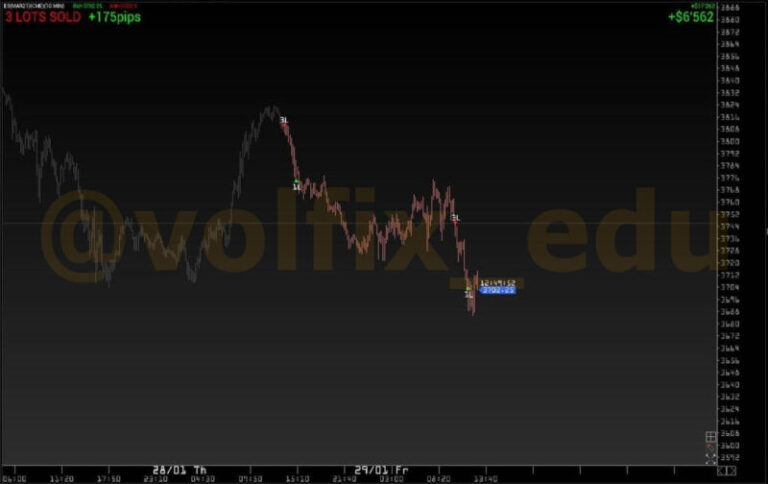 volume_analysis_photo_2021-01-29_21-51-41-800x504