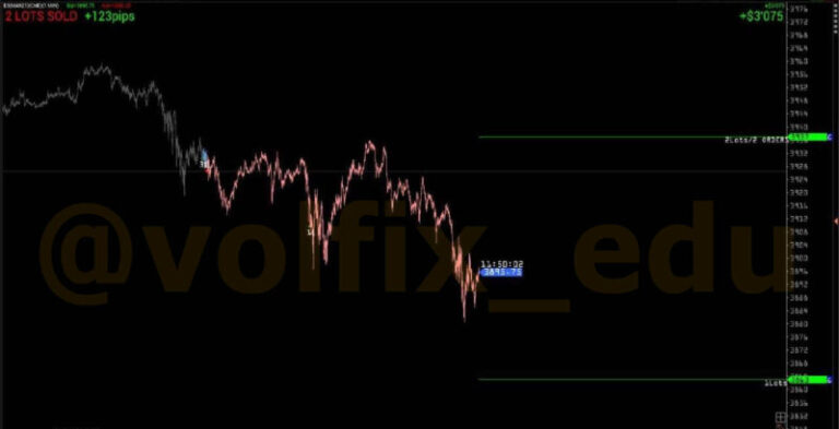 volume_analysis_photo_2021-02-18_20-51-02-800x409