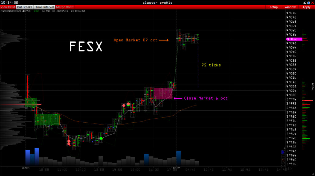 FESX