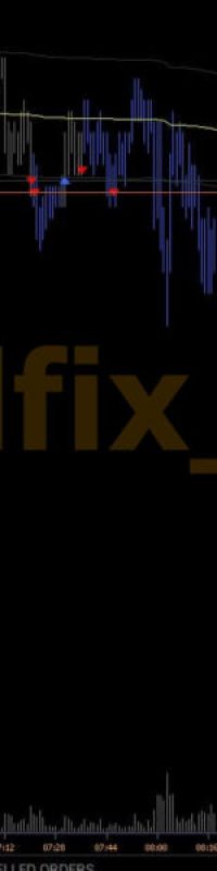 volume_analysis_photo_2021-02-04_18-14-33-650x600