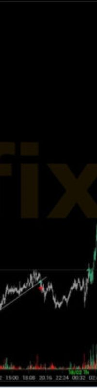 volume_analysis_photo_2021-02-19_11-32-27-800x439